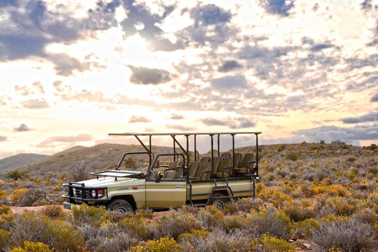 Mont Eco Game Reserve モンタギュー エクステリア 写真