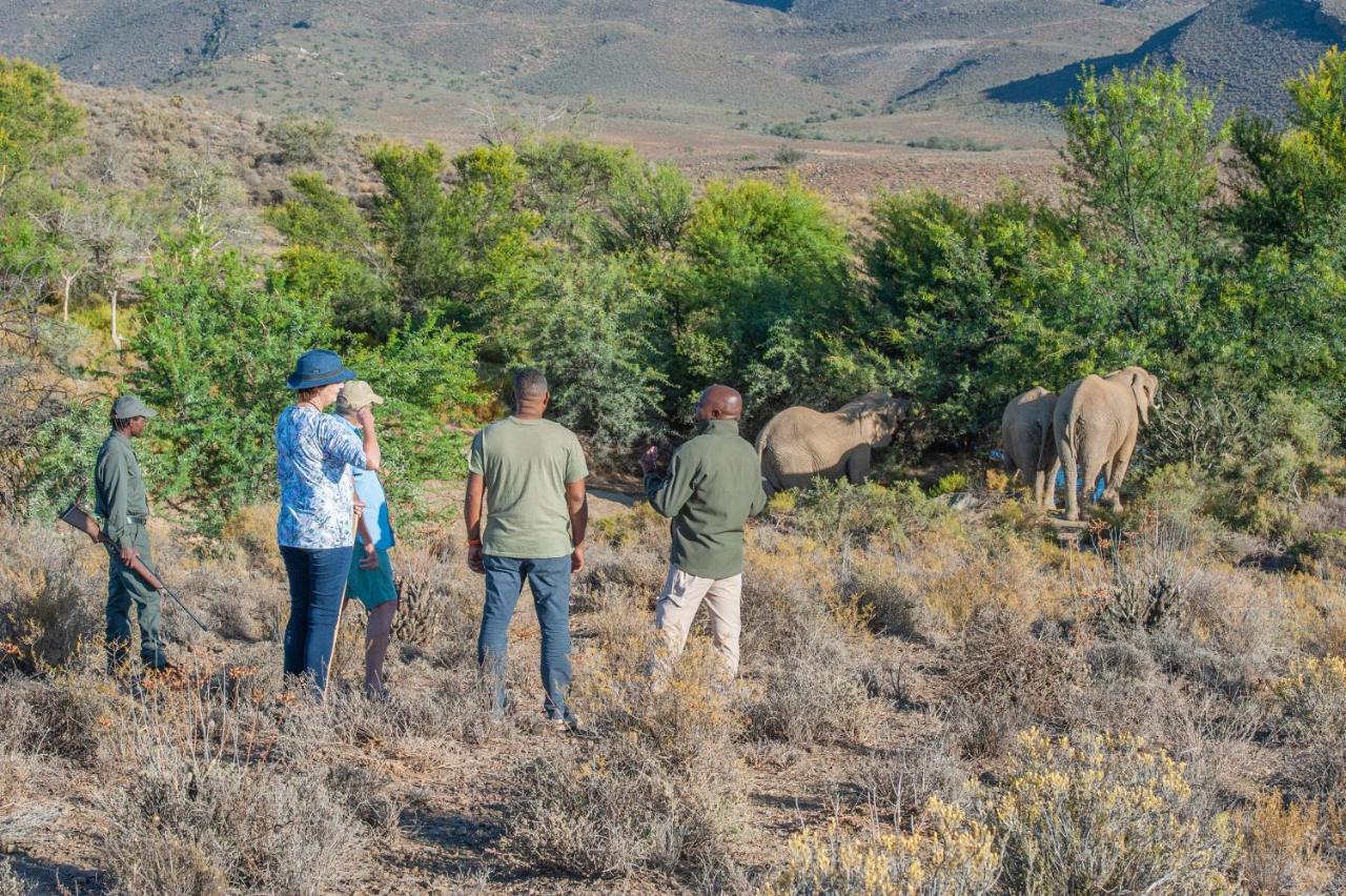 Mont Eco Game Reserve モンタギュー エクステリア 写真