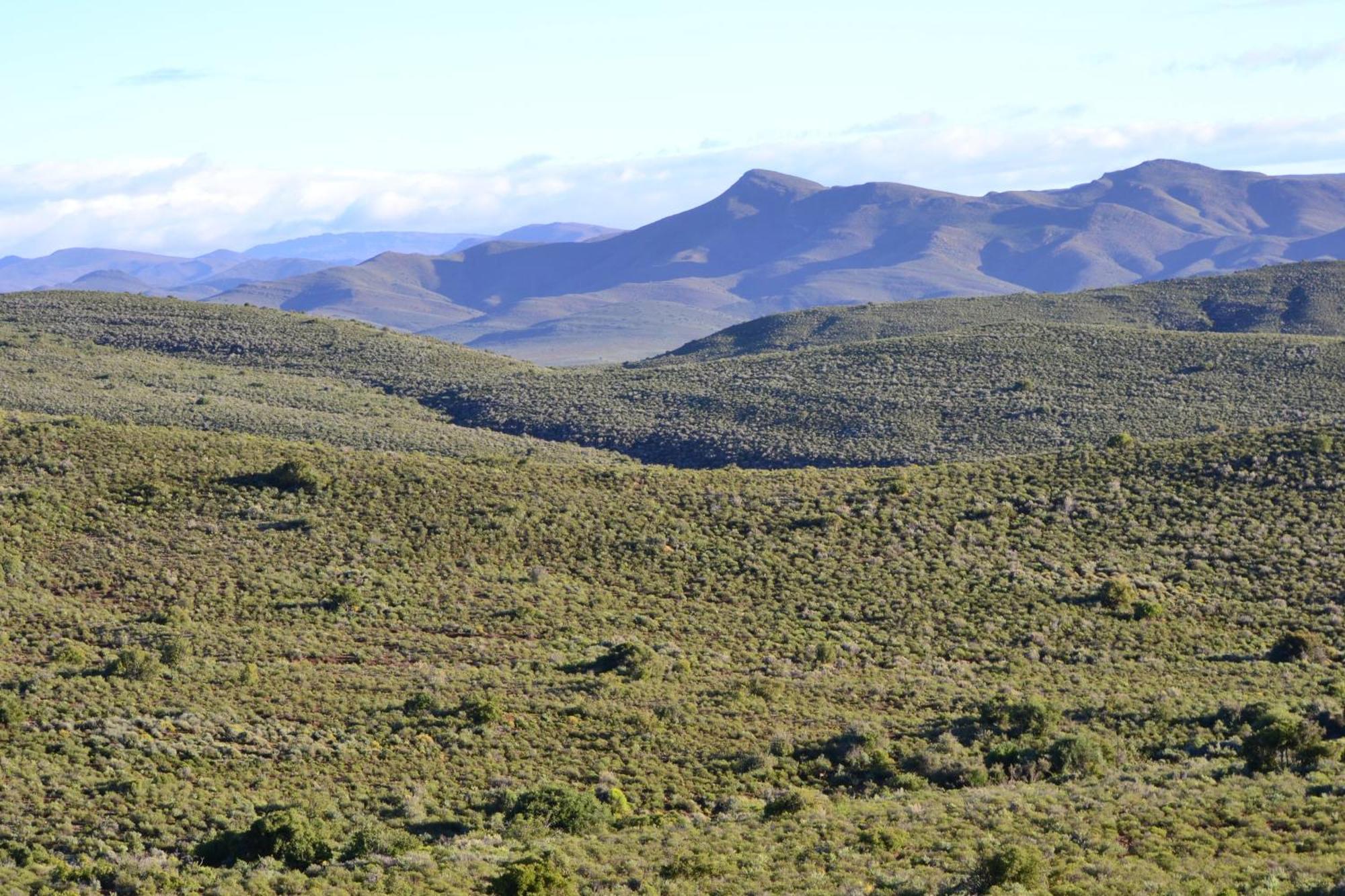 Mont Eco Game Reserve モンタギュー エクステリア 写真